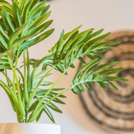 Apartamento Tram - L'absolu Estrasburgo