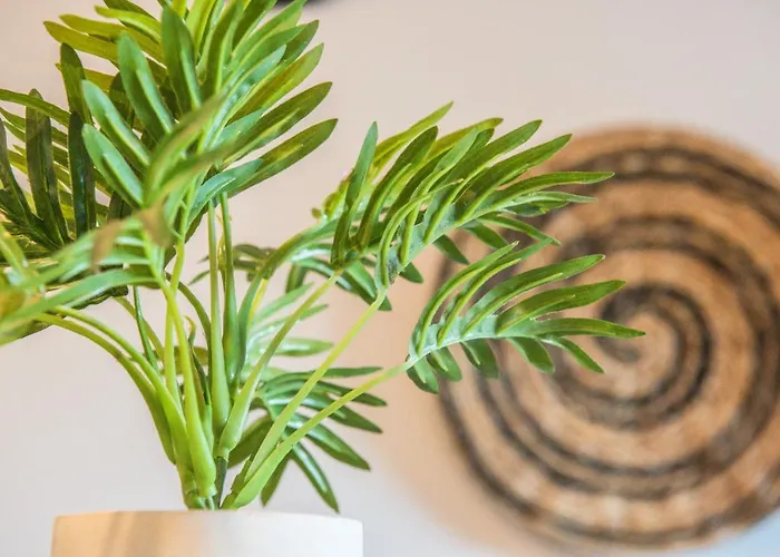 Apartament Tram - L'absolu Strasburg