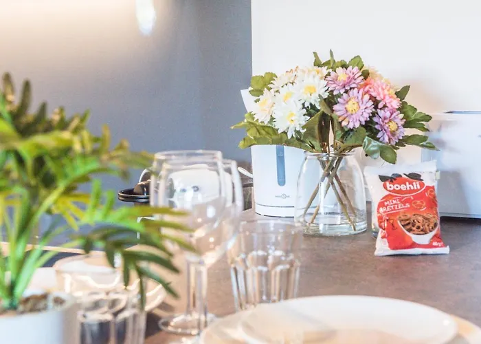 Tram - L'absolu Apartament Strasburg